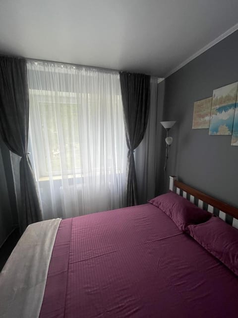 Apartament Sory ,la 200 de metri de hoteluri,ștrand ,terase,are toate utilitățile inclusiv internet wireless,cablu tv, priveliște spre munte și hoteluri Apartment in Serbia