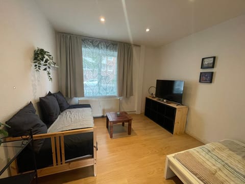 Bed, TV and multimedia, Living room, Photo of the whole room, Evening entertainment, Bedroom