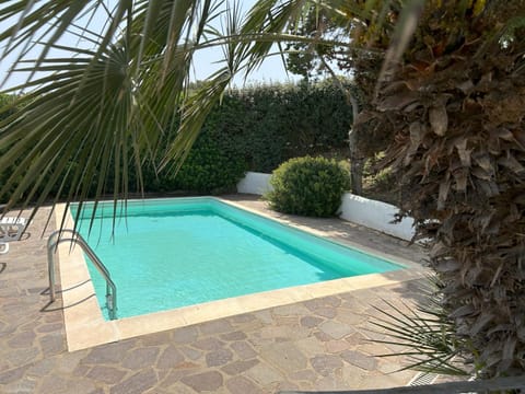 Garden, Pool view, Swimming pool, sunbed