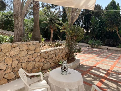 Patio, Garden, Garden view