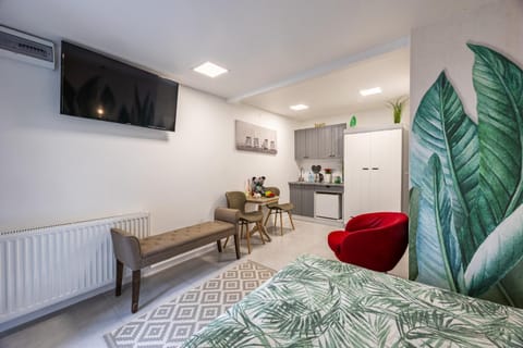 Bed, TV and multimedia, Kitchen or kitchenette, Photo of the whole room, Bedroom, air conditioner