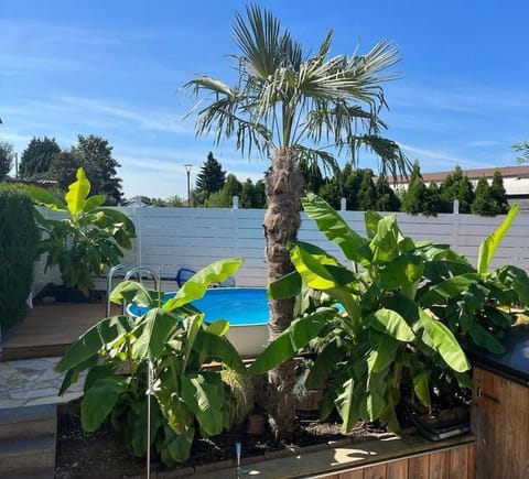 City Chillout Heidelberg Appartement with Sauna & Pool Apartment in Heidelberg