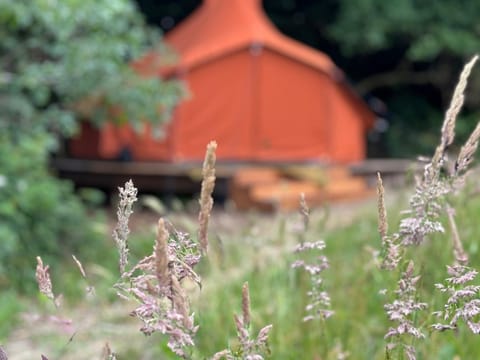 Natural landscape, Garden view