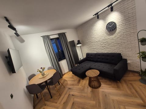 Design Loft Apartment in Timiș County