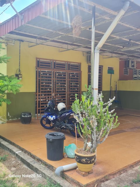 Day, Garden view
