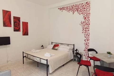 Il roseto di Cremona, luminoso monolocale indipendente Apartment in Cremona