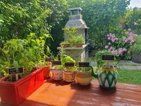 Day, Garden, Garden view