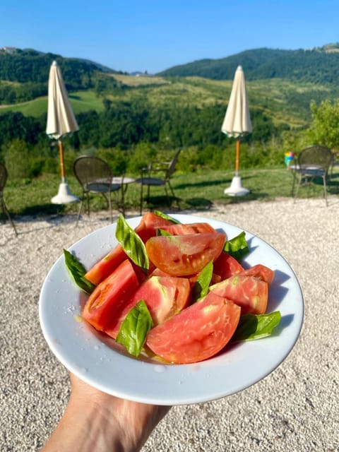 Day, Natural landscape, Food, Mountain view, Breakfast