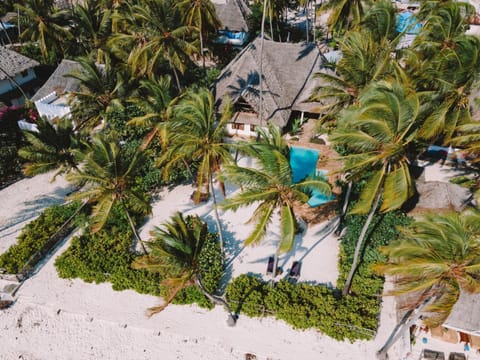 Property building, Bird's eye view, Beach, Pool view
