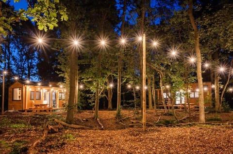 Property building, Night, Natural landscape, Garden view