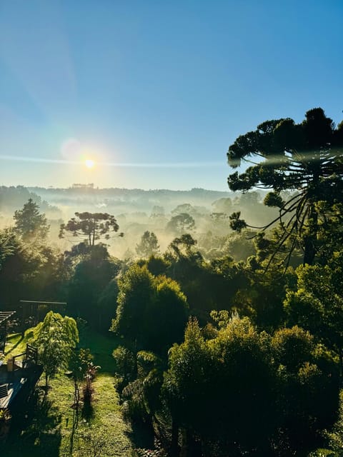 Nearby landmark, Spring, Natural landscape, Garden view, Sunrise, Sunset