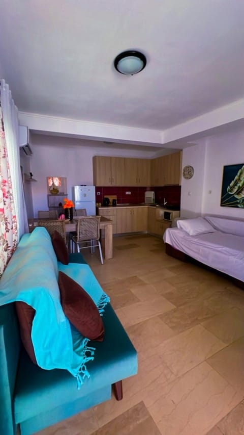 Anastelia Apartments - 1 House in Halkidiki