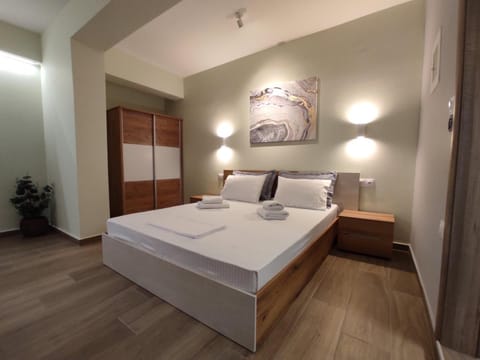 Aliki's Studio 1 Apartment in Kalabaka