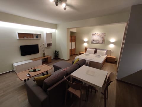 Aliki's Studio 1 Apartment in Kalabaka