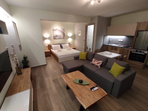 Aliki's Studio 1 Apartment in Kalabaka