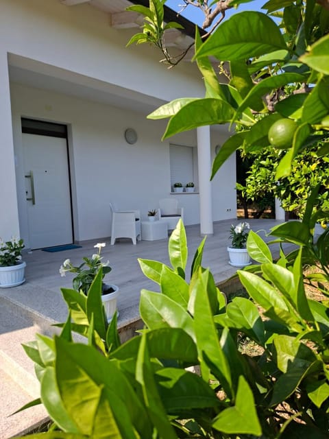 Patio, Garden