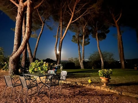 Garden, Balcony/Terrace