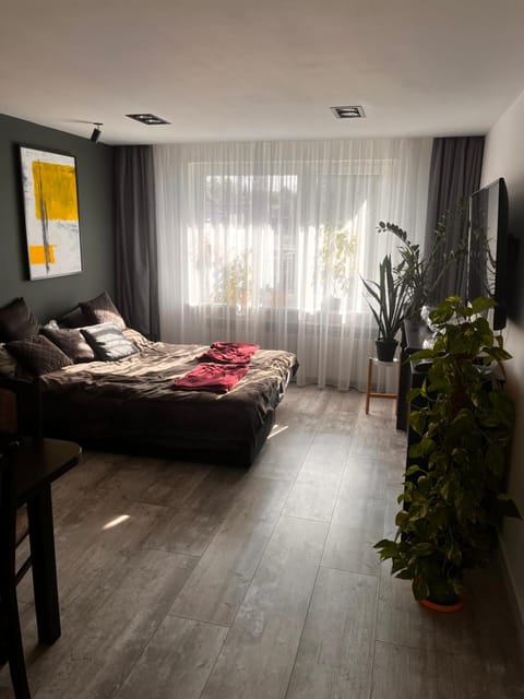 TV and multimedia, Living room, Photo of the whole room, Seating area