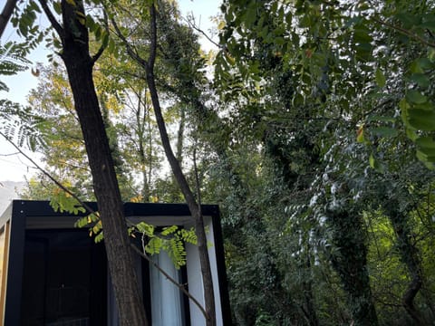 Frutak Resort-TINY HOMES House in Podgorica Municipality, Montenegro
