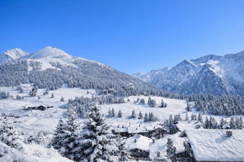 Hostdomus - Pastore Apartment Apartment in Sestriere