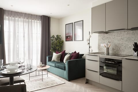 Kitchen or kitchenette, Living room, Seating area, Dining area, stove