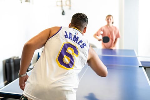 Game Room, Table tennis, Table tennis