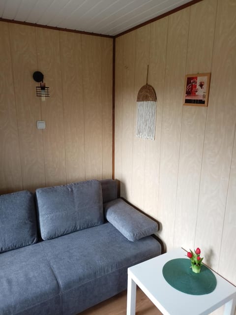 Domki WIKA 1 Nature lodge in Pomeranian Voivodeship