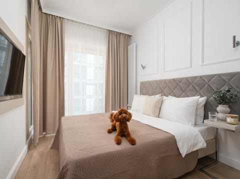 Bed, TV and multimedia, Photo of the whole room, Bedroom