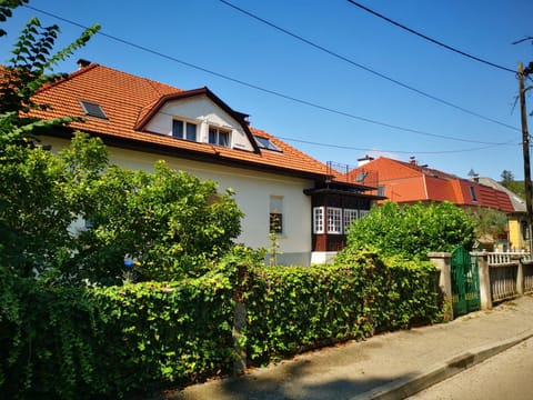 Day, Street view