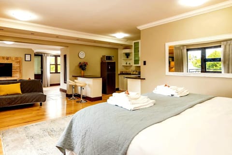 Silver Guest Studio Apartment in Western Cape