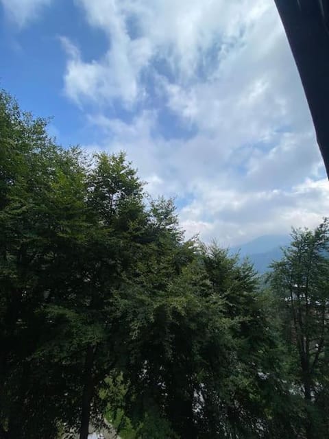 Appartamento sulle piste da Sci Apartment in Liguria