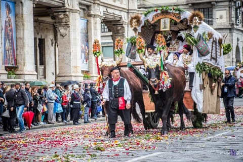 B Room Apartment in Cagliari