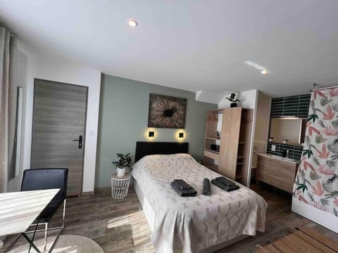 Cosy studio l'éclipse Balneo Apartment in Tassin-la-Demi-Lune