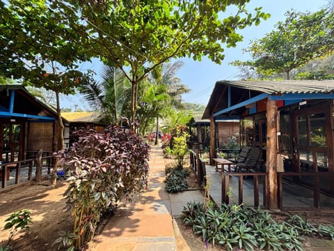 Garden view