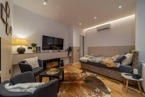 Bed, TV and multimedia, Living room, Photo of the whole room, Seating area, Evening entertainment, Bedroom, air conditioner