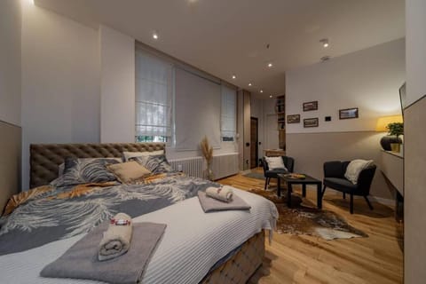 Bed, Living room, Photo of the whole room, Seating area, Bedroom