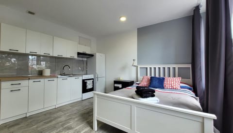 Bed, Kitchen or kitchenette, Photo of the whole room, Bedroom, oven, stove