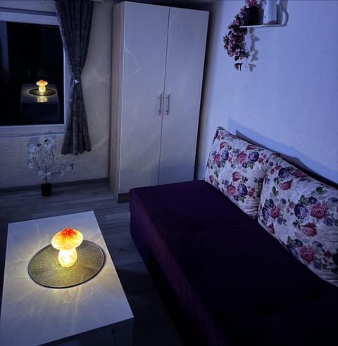 Georgeous lux apartment Apartment in Montenegro