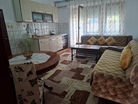 Kitchen or kitchenette, Living room, Seating area, Dining area, oven, stove