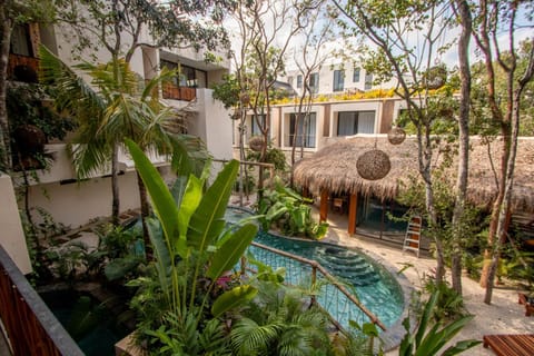 Property view