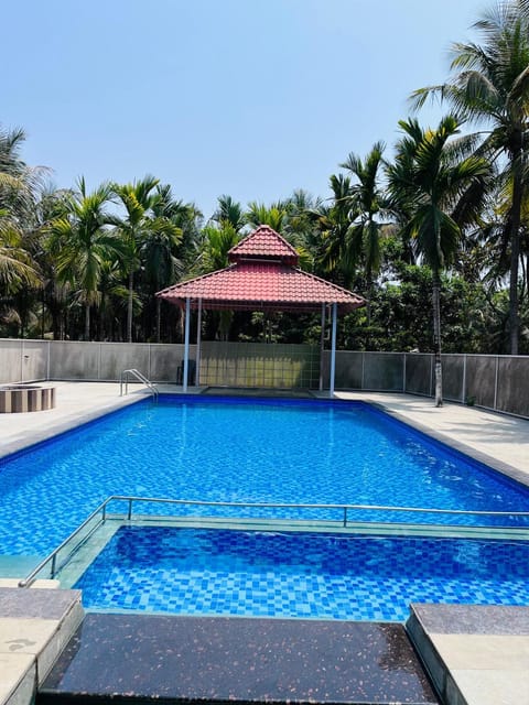 Restaurant/places to eat, Day, Pool view, Swimming pool, Breakfast