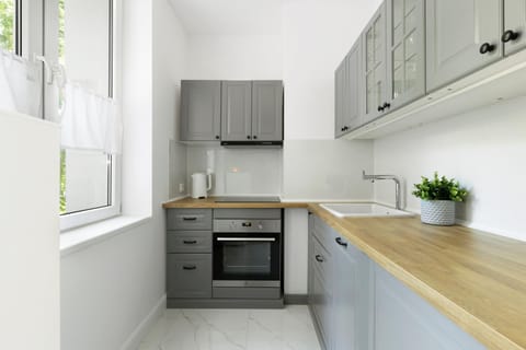 Kitchen or kitchenette, oven, stove