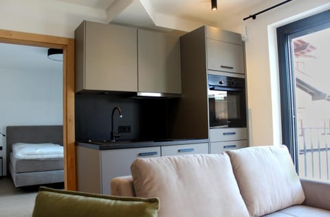 Gipfelglueck Premium Apartment in Salzburgerland