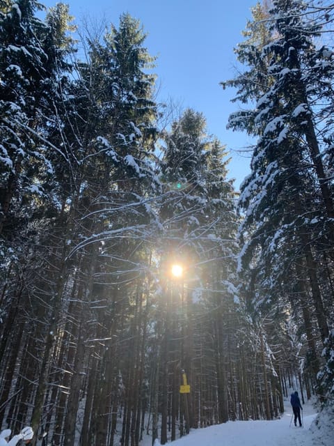 SeelenbaumlerIn Vacation rental in Schliersee