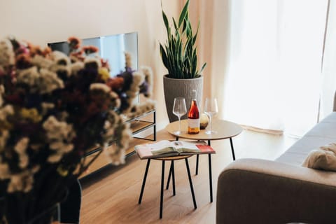 Wine Apartment Brkic Apartment in Federation of Bosnia and Herzegovina