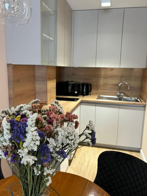 Wine Apartment Brkic Apartment in Federation of Bosnia and Herzegovina