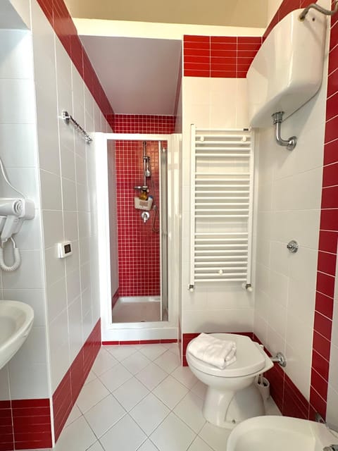 Shower, Toilet, Bathroom, bidet