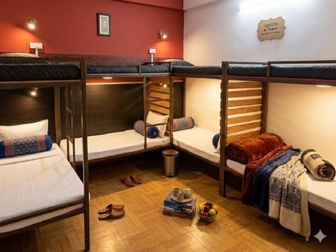 bunk bed