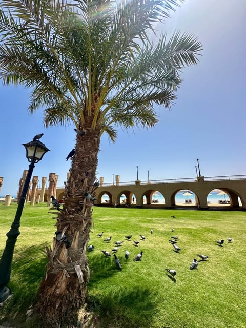 Nearby landmark, Day, Garden, Beach, Garden view