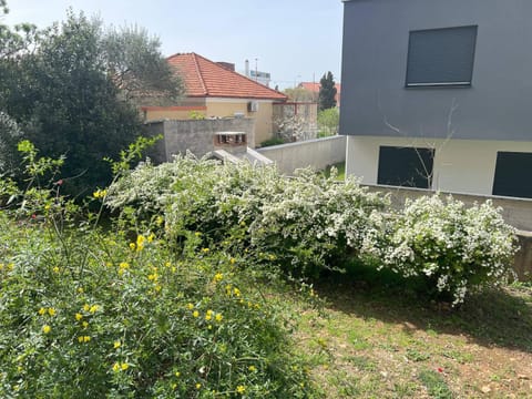 Apartment Melody Apartment in Zadar